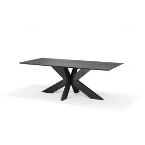 Switch Eetkamertafel 240X120 Rechthoek Slate + Stellar 