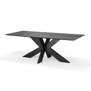 Switch Eetkamertafel 260X120 Recht Slate + Stellar 